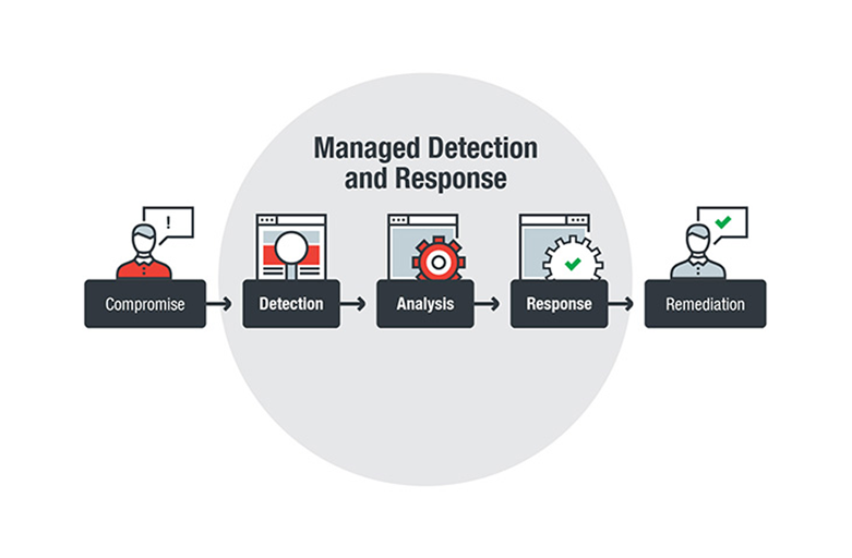 Managed Detection and Response: Helping to Fill in Business Security Gaps